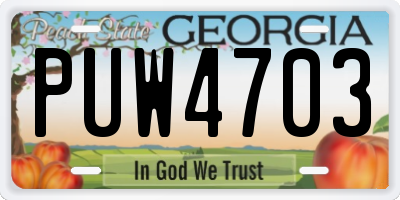 GA license plate PUW4703