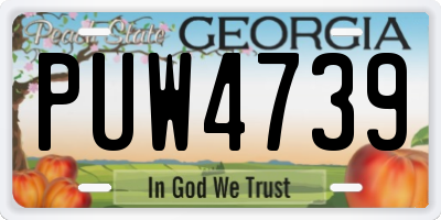GA license plate PUW4739