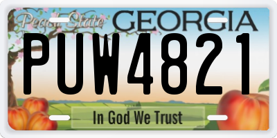 GA license plate PUW4821