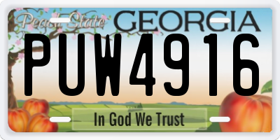 GA license plate PUW4916