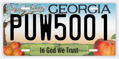 GA license plate PUW5001