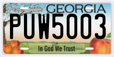 GA license plate PUW5003