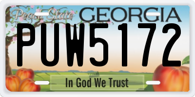 GA license plate PUW5172