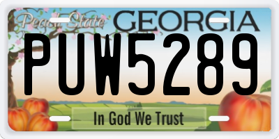 GA license plate PUW5289
