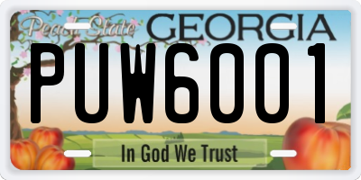 GA license plate PUW6001