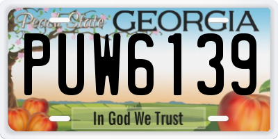 GA license plate PUW6139