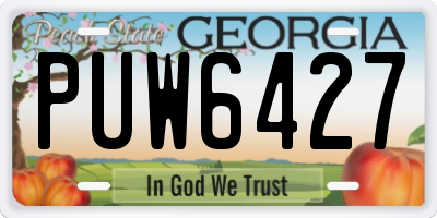 GA license plate PUW6427