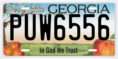 GA license plate PUW6556