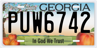 GA license plate PUW6742