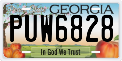 GA license plate PUW6828