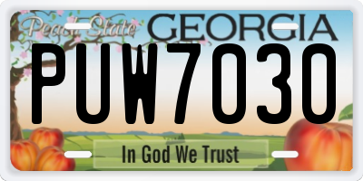 GA license plate PUW7030