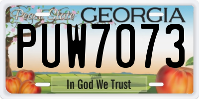 GA license plate PUW7073