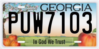 GA license plate PUW7103