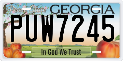 GA license plate PUW7245