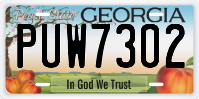 GA license plate PUW7302