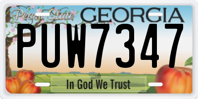 GA license plate PUW7347