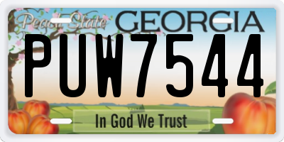 GA license plate PUW7544