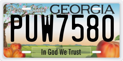GA license plate PUW7580