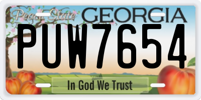 GA license plate PUW7654