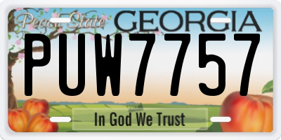 GA license plate PUW7757