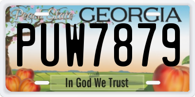 GA license plate PUW7879