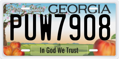 GA license plate PUW7908