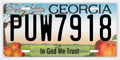 GA license plate PUW7918