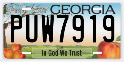 GA license plate PUW7919