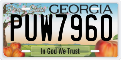 GA license plate PUW7960
