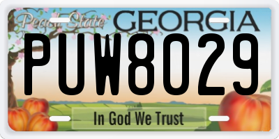 GA license plate PUW8029