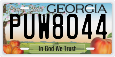 GA license plate PUW8044