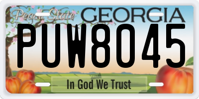 GA license plate PUW8045