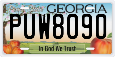 GA license plate PUW8090
