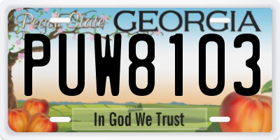 GA license plate PUW8103