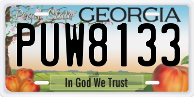 GA license plate PUW8133