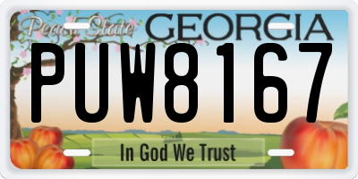 GA license plate PUW8167