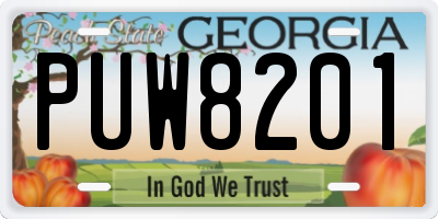 GA license plate PUW8201