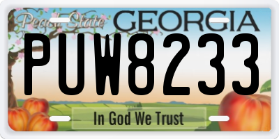 GA license plate PUW8233