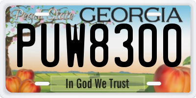 GA license plate PUW8300
