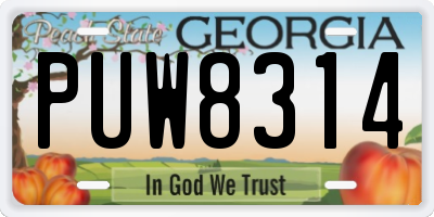 GA license plate PUW8314