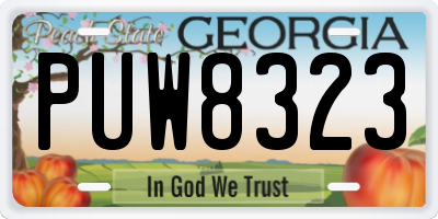 GA license plate PUW8323