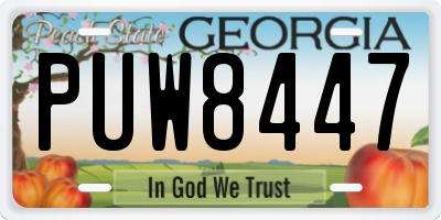 GA license plate PUW8447