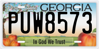 GA license plate PUW8573