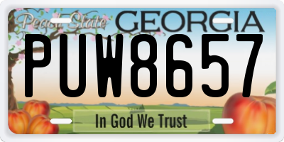 GA license plate PUW8657