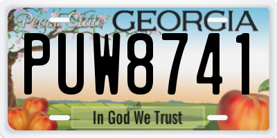 GA license plate PUW8741