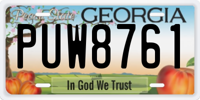 GA license plate PUW8761