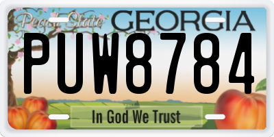 GA license plate PUW8784