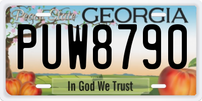 GA license plate PUW8790