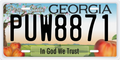 GA license plate PUW8871