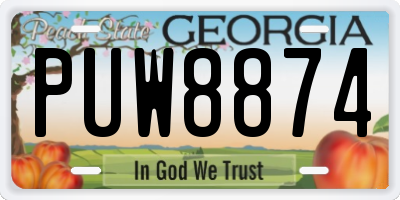GA license plate PUW8874